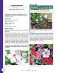 377 Flower Varieties for a Lively Garden