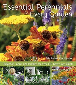 Easy-Care Perennials: Your Guide to Thriving Gardens