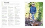 Martha Stewart's Gardening Handbook for Beautiful Plants