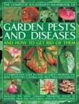 Garden Pest and Disease Identification Guide