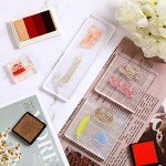 22-Piece Acrylic Stamp Block and Ink Set