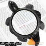 Antique Black Turtle Magnifier – 10X Zoom Paperweight