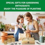 Bonsai Tree Growing Kit for Beginners and Kids