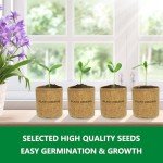 Bonsai Tree Growing Kit for Beginners and Kids