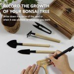 Bonsai Tree Growing Kit for Beginners and Kids