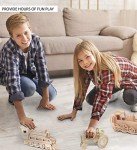 3D Wooden Steam Train Puzzle Kit for All Ages