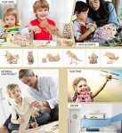 3D Wooden Steam Train Puzzle Kit for All Ages