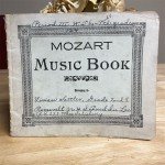 Vintage Mozart Music Writing Journal - Blank Pages