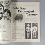 Scrimshaw Folk Art Collector's Magazine - June 1982