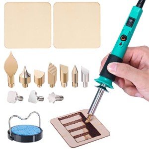 Versatile Pyrography Kit with Adjustable Temp & Tips