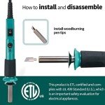 Versatile Pyrography Kit with Adjustable Temp & Tips