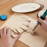 Versatile Pyrography Kit with Adjustable Temp & Tips