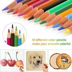 116-Piece Adjustable Wood Burning Tool Kit