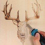 Versatile Pyrography Kit with Adjustable Temp & Tips