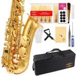 Gold Laquer E Flat Alto Saxophone with Accessories