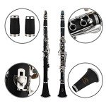 Glory Professional Bb Clarinet with Accessories Bundle