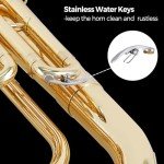 Rowell Bb Baritone Horn with Case and Accessories