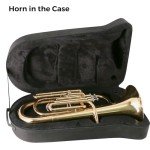 Rowell Bb Baritone Horn with Case and Accessories