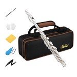 Eastar C Key Piccolo Flute with Accessories