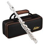 Eastar C Key Piccolo Flute with Accessories