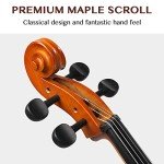 Full-Size Beginner Cello with Accessories Kit