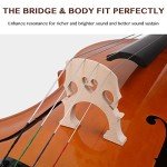 Full-Size Beginner Cello with Accessories Kit