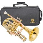 Aurousus BB Cornet 8330 for Beginner & Intermediate Players