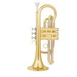 Aurousus BB Cornet 8330 for Beginner & Intermediate Players