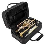 Aurousus BB Cornet 8330 for Beginner & Intermediate Players