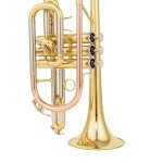 Aurousus BB Cornet 8330 for Beginner & Intermediate Players
