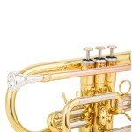 Aurousus BB Cornet 8330 for Beginner & Intermediate Players