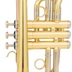 Aurousus BB Cornet 8330 for Beginner & Intermediate Players
