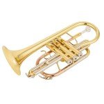 Aurousus BB Cornet 8330 for Beginner & Intermediate Players