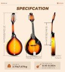 Vangoa A-Style Acoustic Mandolin Kit - 8 String