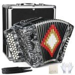 31-Key Push-Pull Accordion with Carrying Case