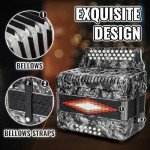 31-Key Push-Pull Accordion with Carrying Case