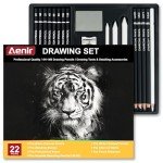 22-Piece Charcoal Pencil Set for Artists