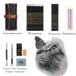Art Supplies Set: Pencils for Everyone's Sketching Needs
