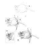 Art Supplies Set: Pencils for Everyone's Sketching Needs