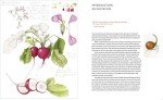 Botanical Drawing Made Easy: Step-by-Step Guide