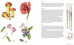 Botanical Drawing Made Easy: Step-by-Step Guide