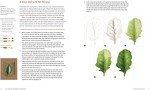 Botanical Drawing Made Easy: Step-by-Step Guide