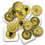 Australia 1 oz Gold Kangaroo Coin - Random Year
