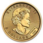 1/10 oz Canada Gold Maple Leaf Coin