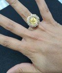 14K Yellow Gold Plated Panda Bear Coin Ring