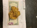 Australian Gold Nugget 19.60 Ounces Coin