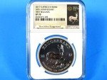 2017 South Africa Silver Krugerrand 2-Coin Set