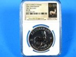 2017 South Africa Silver Krugerrand 2-Coin Set