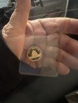 China Panda Gold Coin 1/10 Oz - 3 Available