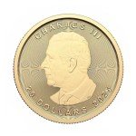 2025 $20 Canadian Maple Leaf Gold Coin 1/2 oz